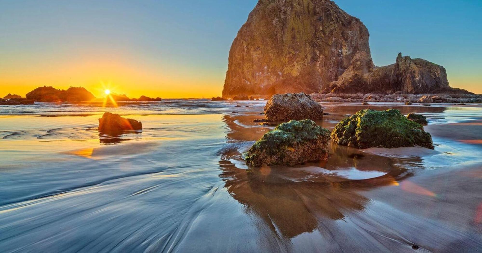 Pacific Northwest Beach House 5G Ev Charger Dog เกียร์ฮาร์ท ภายนอก รูปภาพ